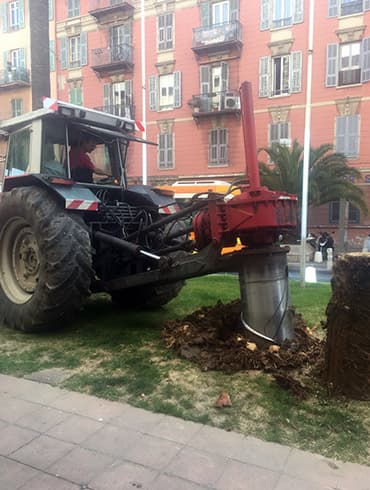 Chantier d'abattage et dessouchage ADE Services en centre-ville de Nice