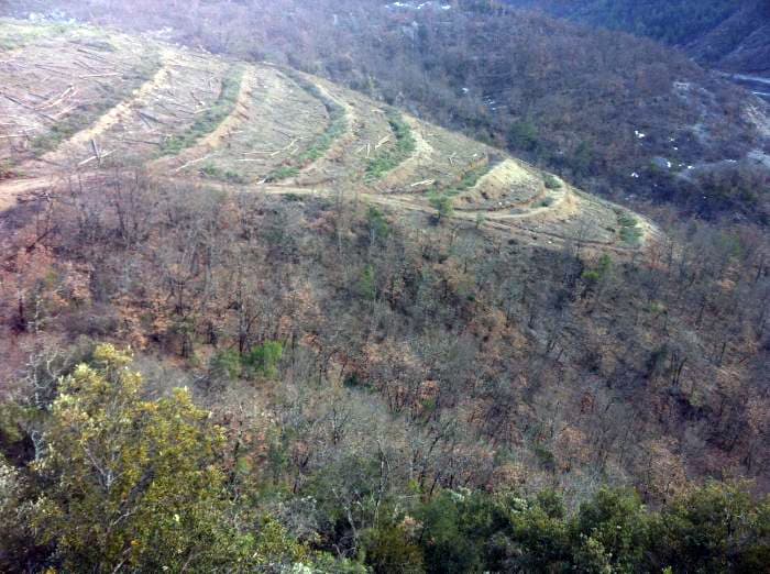 Déboisement de 7 hectares mené par ADE Services à Massoins