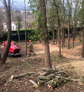 Débroussaillage forestier réalisé par ADE Services à Saint-Paul-de-Vence
