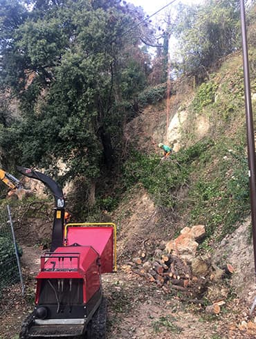 Sécurisation d'un talus en forte pente par les équipes ADE Services à Grasse